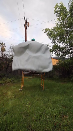 Magician's Day: Vanish Illusion Performance