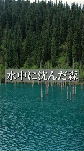Dive in and you're in a world from 100 years ago. A mysterious lake with an underwater forest per...