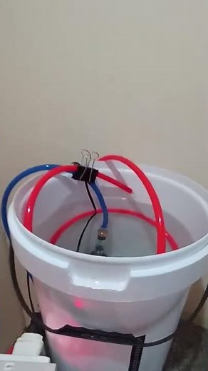 Sugar Wash Moonshine in 1 min