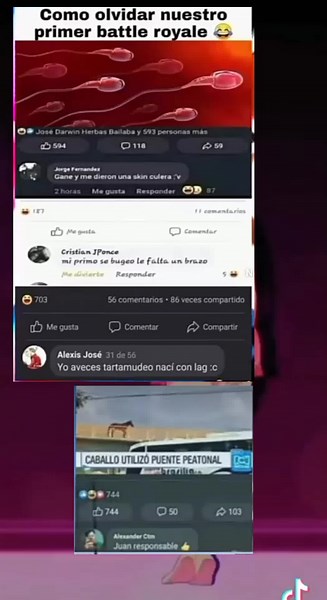 Exploring Social Media Comments: Insights from Screenshots