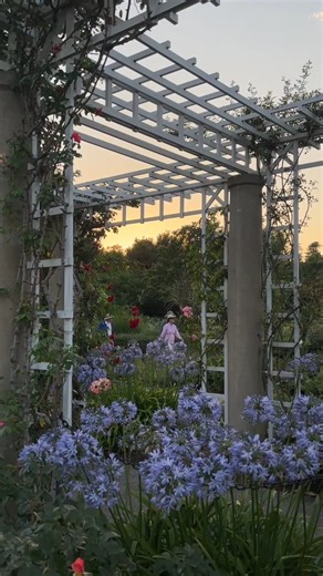 Our next Twilight Stroll is this Sunday, July 28! 💫 Enjoy the gardens after hours, shop at the Huntington Store, and enjoy refreshments from the coffee shop or cafe. 🥂 Click the link to reserve tickets now: https://bit.ly/46mPRUq | The Huntington Library, Art Museum, and Botanical Gardens