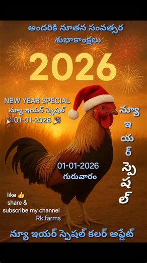 R K Farms on Instagram: "01-01-2026 Today’s winning colours👉 🔥stay alert🔥 🕉️ Includes nakshatram, dikku, timings, sales alerts & Telugu updates. 🎯 What You’ll Get Here: • Daily Kodi colour predictions • Real-time colour update & sale alerts • Telugu regional Kodi insights • Trusted updates from Rk farms 📍 From Rk farms / Andhra Pradesh 💥 Don’t miss tomorrow’s update! ✅ Subscribe & press the 🔔 bell ✅ Follow us on Instagram for instant alerts – 👉 @rk_rosters_club 🎤 “Color decides the fig