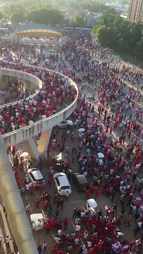 simba day 2020🤣🤣🤣🤣🤣🤣