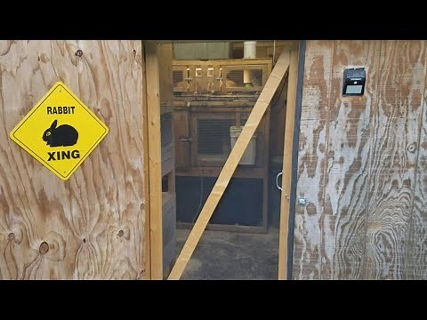 Ultimate Rabbit and Coturnix Quail Breeding Setup?