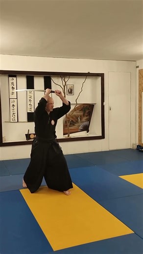 BBME - Iaido by Shihan Csaba Ziegler - Chi ryu Iaido style #bbme #iaido #japan #martialarts #fyp