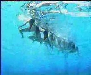 Greece Team Budapest 2006 Synchronized Swimming