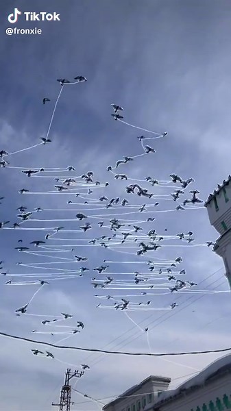 Exploring Digital Art with TouchDesigner