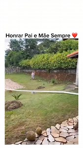 32K views · 10K reactions | Honrar pai e mãe sempre ❤️ | popper.tv | Facebook