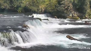 6.3K views · 119 reactions | Beady Sister 909 loses her footing on...