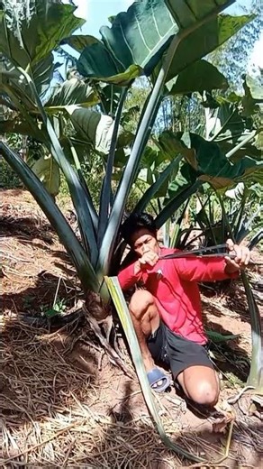 Don't smile... I will slap you! Part 3.😆 #comedyshorts