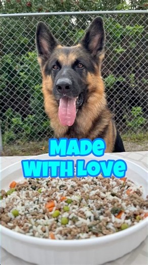 My German Shepherd's Homemade Ground Beef and Veggie Bowl 🍖🐾