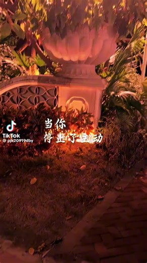 妳用最后一次温柔换我最后一次放手 (@nick7969)’s videos with 原聲 - 妳用最后一次温柔换我最后一次放手