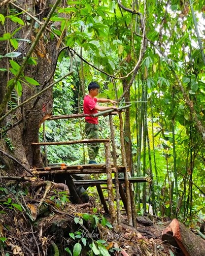 9.5M views · 116K reactions | How to make the perfect shelter under a big tree solo camping alone.#bushcraft #adventure #outdoors #survival #camping #cabinlife #cabincrew #wilderness #logcabin | Complete Bushcraft | Facebook