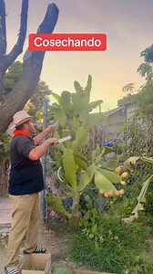 Alejandro Lopez on Reels