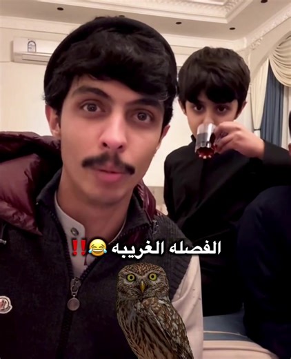 Video di 🌟 (@aml0___) con الصوت الأصلي - 🌟