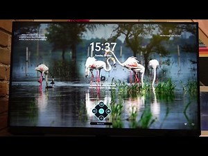 How To Change Screen Size on Samsung Odyssey G3?