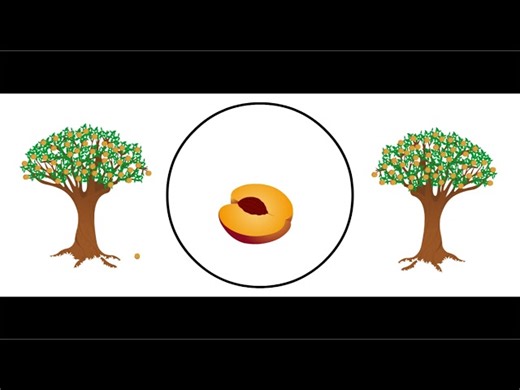 Science - Plant Reproduction - How Plants Use Cones