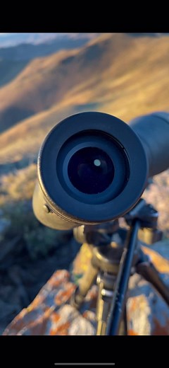 Spotted this big female 400 yards below us while archery hunting mule deer, must be part of why we aren’t seeing bucks we see every year 🤔 We’ll get her when the snow falls with the dogs!! 😈 #hunting #lionhunting #bigcats #huntnv #nv #huntersoftiktok #mountainlion #muledeer