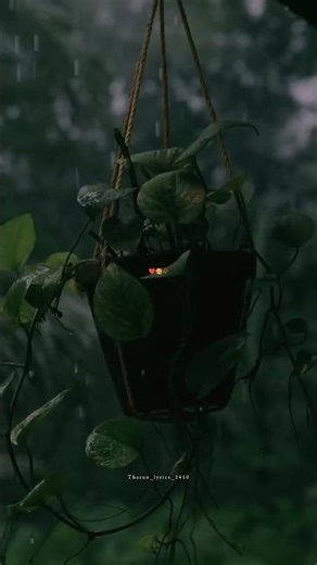 This is for you🥰|Telugu song, songs telugu #trending #love #shorts #reels #status