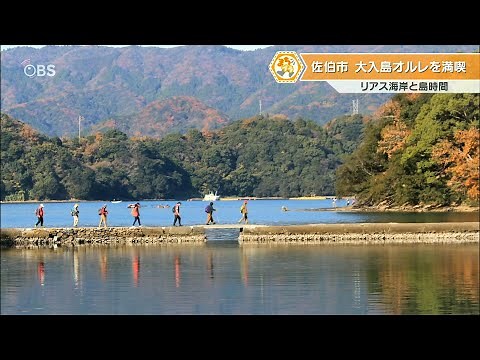 海の細道を歩く…佐伯湾に浮かぶ「大入島」人口10倍超の観光客が殺到 島時間を堪能できるトレッキングコース