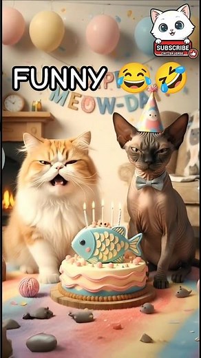 Funny Grumpy Cats 😾🤣😂,Celebrate birthday🎉 #shorts #viralshort meow meow #cat video