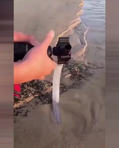 Pompă portabilă care se potrivește tuturor burghiilor standard 😍 Pentru pomparea ușoară a uleiului, golirea piscinei, turnarea îngrășămintelor lichide și a altor lichide! ▶▶ https://vigoexpress.ro/produs/electric-drill-pump-rotopump/?sp=7749i997 | Vigoexpress