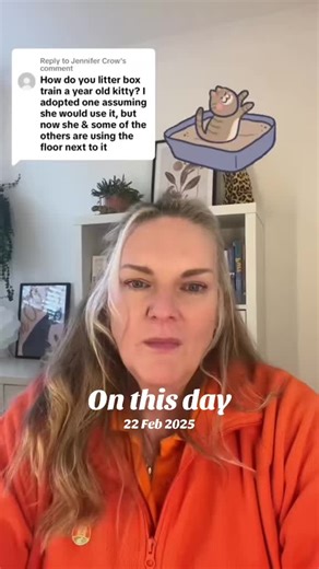 Understanding Your Cat's Litter Box Habits