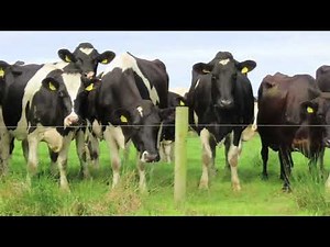 Signpost farm walk at Andrew & Bernadette Killeen's