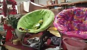 4.6K views · 32 reactions | Massive public liquidation auction event...