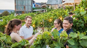Weinfestkalender: Das sind die schönsten Weinfeste im Juli