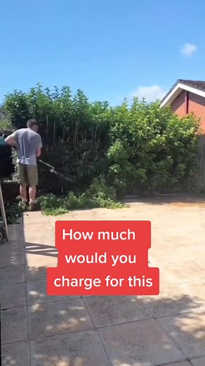 Hedge Trimming Tips for Beginners