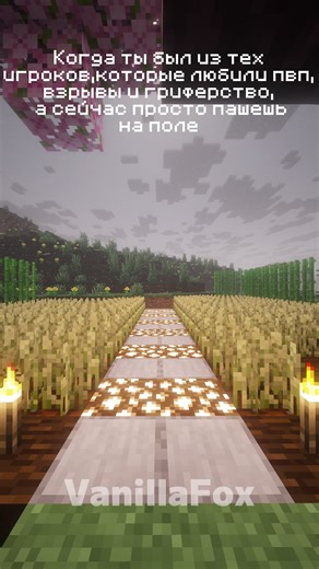 Ванильный сервер VanillaFox-ссылка в профиле #minecraft#vanillana#майнкрафт#сервер#ваниламайнкрафт