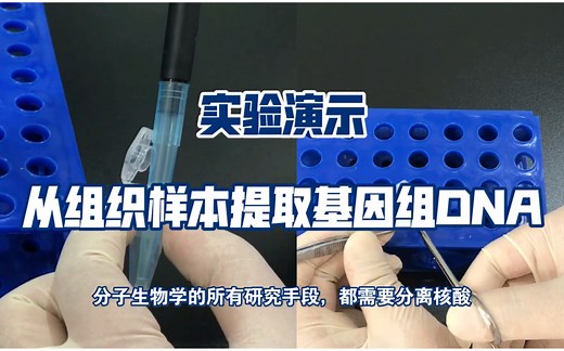 手把手教你做实验_基因组DNA提取