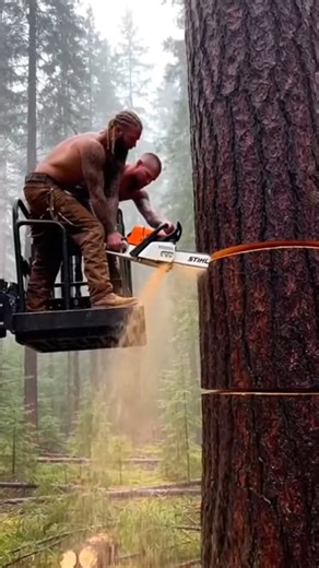 Tree Cutting Gone Wrong 😱🔥 | The Restoration Garage