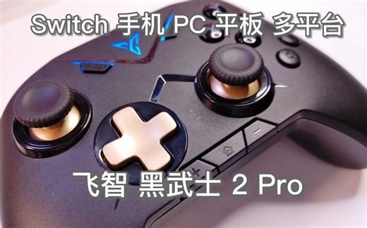 多平台手柄！5种模式，按键全自定义，还有重力体感，飞智黑武士2Pro测评～