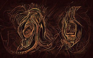 How many different sea shells are there in the world? [2025] | QAQooking.wiki