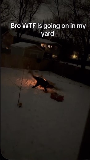 Jacob Mosher on Instagram: "#winter #Minnesota #life #reels #funny #fyp #cardboardcarnivores"