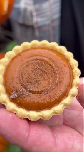 This Pumpkin Pie Plant Grows Fully Baked Pie