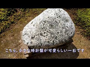 常願寺川産ナポレオン石の観察
