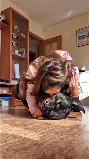 Oh my heart Very beautiful boy 🥰🤍 #Shorts #rottweiler #dogs