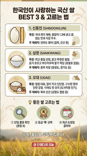한국인 90%가 모르는 인생 쌀 품종 TOP 3! 🍚 어떤 쌀이 제일 맛있을까?