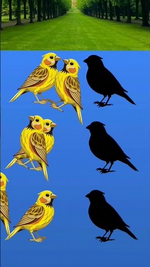 #تحدي #أتحداك توقف الصورة صح✅