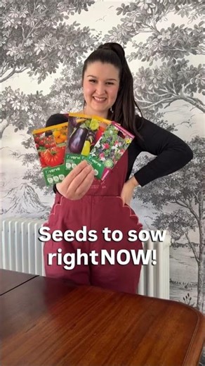 Seed sowing for beginners 🌱 Start your garden now! 🪴