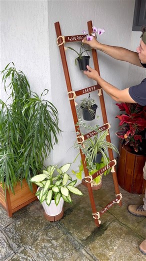 Idea for Potted Garden! Easy DIY 🌴 #garden #diy #plants