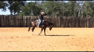 Practicing a pretty slow lope on a loose rein too much will leave your horse traveling flat. This exercise will: ✅ enhance a pleasure horse’s movement ✅ help maintain an older horse that has correct movement ✅ give a light aerobics workout to make him use his body up high then release and get soft Great to prevent your horse from picking up bad habits and keep using his body correctly. Members view this full lesson after loggin in by searching: "Mash-Release: Another Tool To Controlling Your Hor
