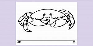 Crab Colouring Page (Ages 7 - 11)
