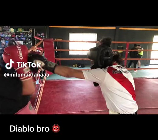 Mexican Boxing Sparring Highlights | Argentina