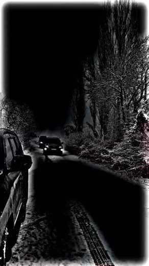 VIP LAND CRUISER PROTOCOL Just For You #foryou #foryoupage #unfreezemyaccount #supportmyaccount #gdviilamatcha😻🇩🇪🚀❤️✈️ @tiktok creators @TikTok @TikTok UK