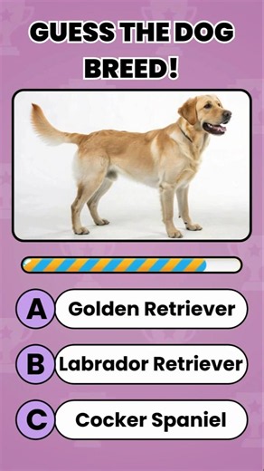 Can You Guess These Dogs? 🐶 | Dog Quiz #shorts