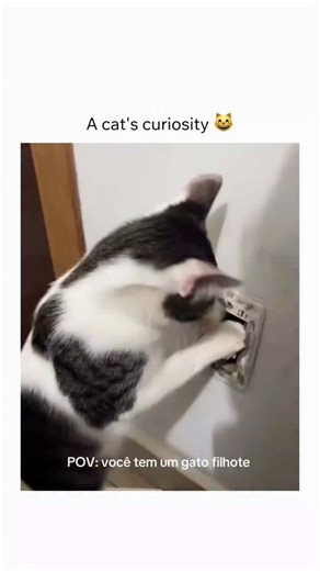 Kitty Paw on Instagram: "In 2018, a New Jersey woman named Kate McClure ran out of gas late at night on a highway. A homeless veteran, Johnny Bobbitt Jr., saw her stranded and used his last $20 to buy her fuel so she could get home safely. He didn't ask for anything in return-he just wanted to make sure she wasn't in danger. Deeply moved, Kate and her partner started a fundraiser to help Johnny rebuild his life. The story went viral, and thousands of people donated. Although later events around 